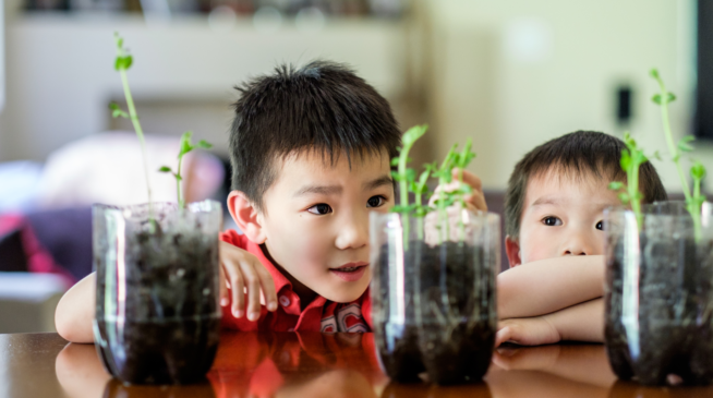 Young school children observing an experiment related to plants
