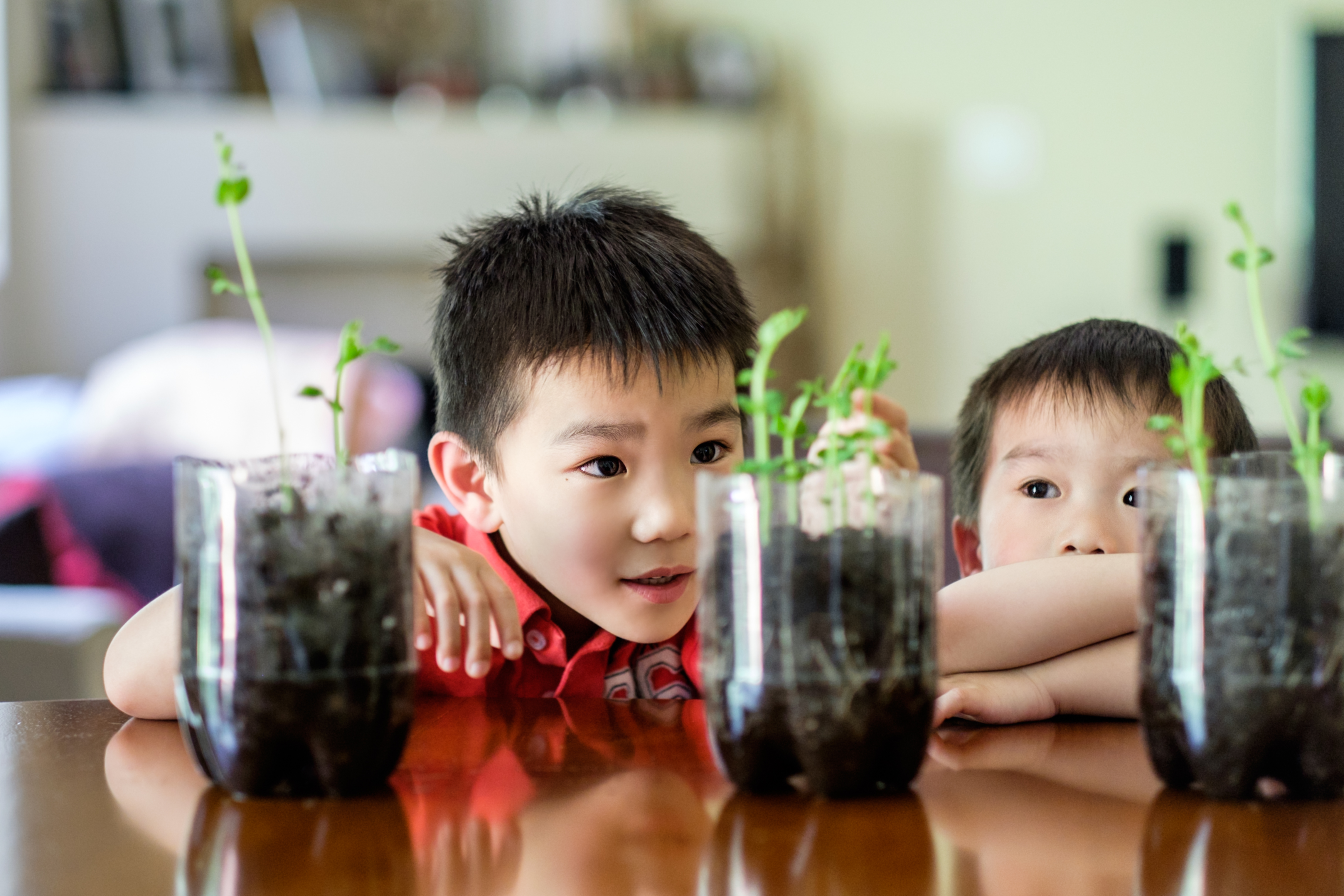 Young school children observing an experiment related to plants